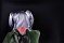 <p><em>Fallen awake...#4</em></p>