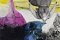 <p><em>While I, in hugger-mugger hid #18, SOLD</p>