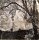 <p><em>Markings - traces of unknown events</em></p>