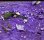 <p>&nbsp;Video stills</p>
